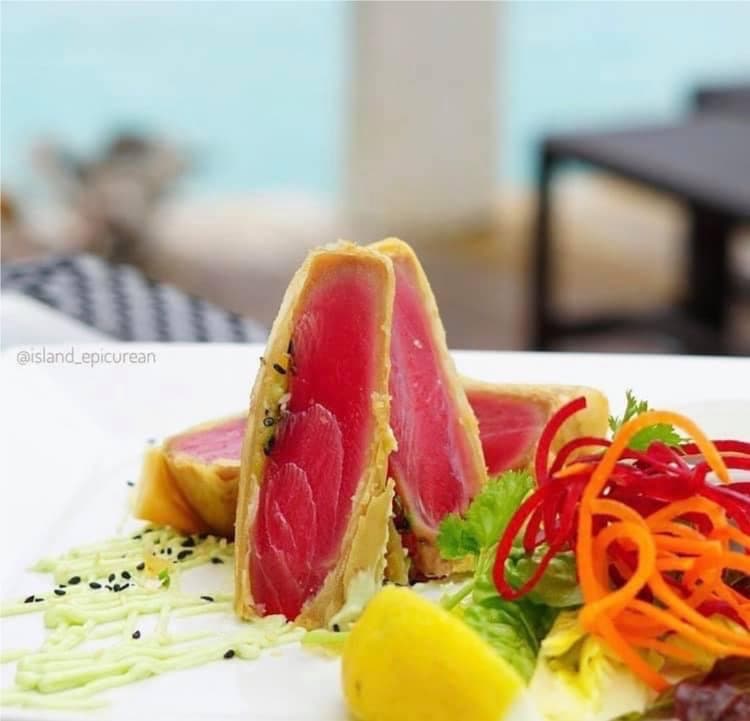 Tuna Spring Roll Image