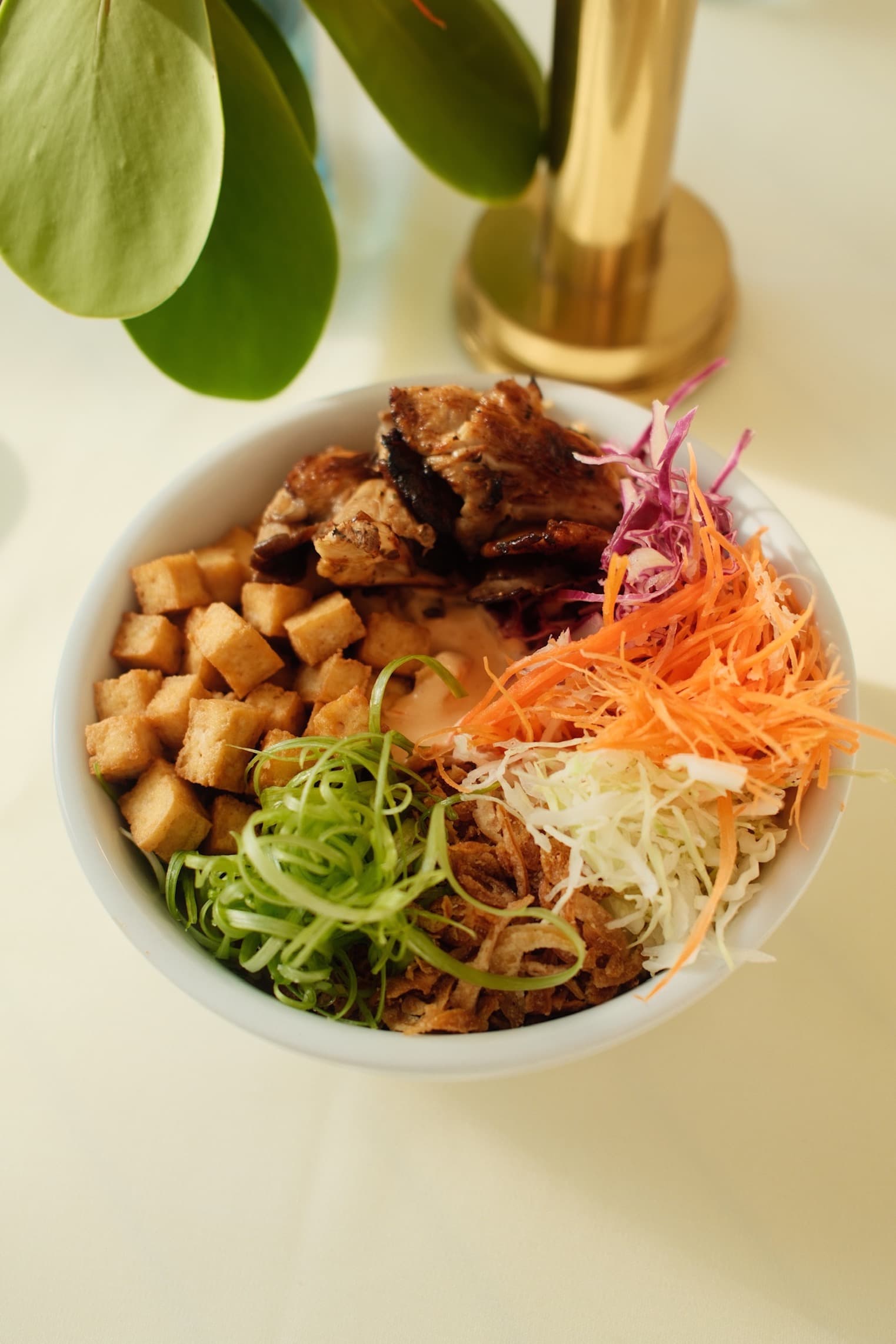 Tofu Donburi Image